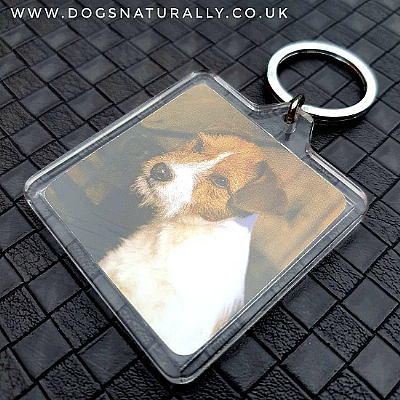 Parson Jack Russell Keyring (Square)